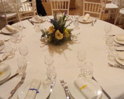 Fermati e Gusta (10)